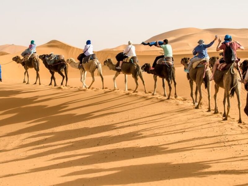 Camel trek 2 nights camp