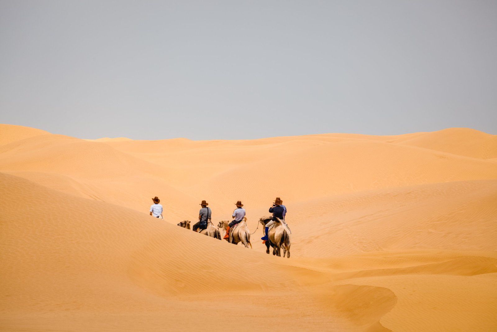 Camel trekking in Sahara desert Morocco